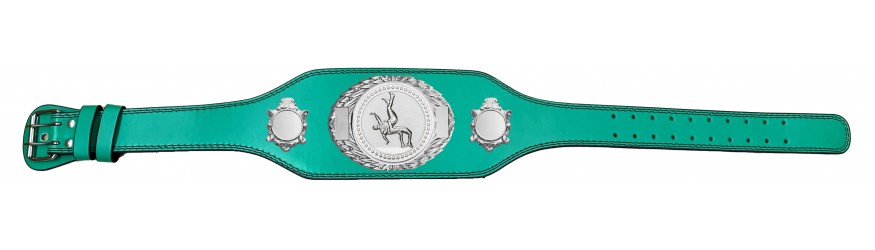 WRESTLING CHAMPIONSHIP BELT-BUD295/S/WRESTS-4 COLOURS
